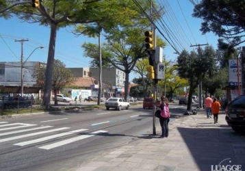 Ótimo terreno em ponto comercial na avenida cavalhada medindo 8,75 x 62 ,  em excelente lo - Terrenos, sítios e fazendas - Cavalhada, Porto Alegre  1253925879