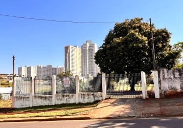 Edson Gurita - Maringá, Paraná, Brasil