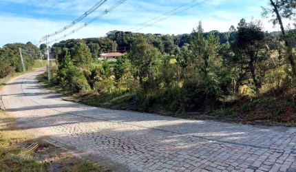 Chácara / sítio à venda na Rua Carlos Kusma, Zona Rural, São José dos Pinhais, 10680 m2 por R$ 330.000