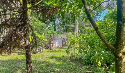 Chácara / sítio com 4 quartos à venda na Rua Ulda Pereira da Silva, 400, Parque das Nascentes, Pinhais, 100 m2 por R$ 1.200.000