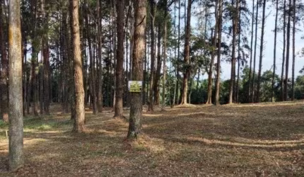 Terreno à venda, 1156 m² por R$ 850.000,00 - Residencial Morada dos Lagos - Barueri/SP