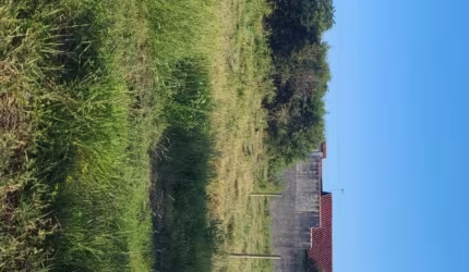 More em meio a natureza! Baita terreno com IPTU no Rio Vermelho/Florianópolis-SC. - Não financia!