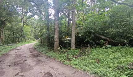 Chácara / sítio com 1 quarto à venda na Jorge Correia de Andrade, 1, Bateias, Campo Largo por R$ 400.000