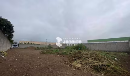 Terreno, 1450 m² - venda por R$ 1.100.000,00 ou aluguel por R$ 4.000,00/mês - Tomba - Feira de Santana/BA