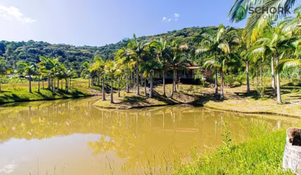 Sítio com 2 dormitórios à venda, 25080 m² por R$ 700.000,00 - Campinha - Massaranduba/SC