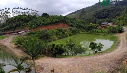 Sítio com 3 dormitórios à venda, 43700 m² por R$ 800.000,00 - Zona Rural - Massaranduba/SC