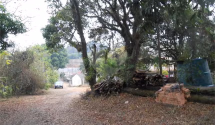 Sítio com 7 quartos à venda em Jardim Rosaura - SP