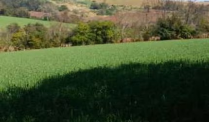 Rural - Sitio Centro
