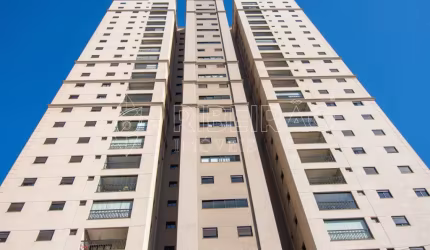 Apartamento locação 3 dormitórios Quinta Da Primavera