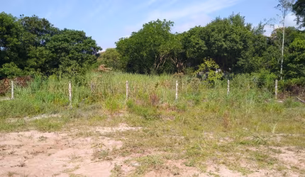 Area Retroportuaria