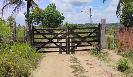 Terreno de 5.000m² à venda, com desmembramento de 60 lotes, localizado em Paudalho - Pernambuco.