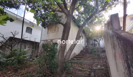 Terreno à venda, 290 m² por R$ 590.000,00 - Parque São Domingos - São Paulo/SP