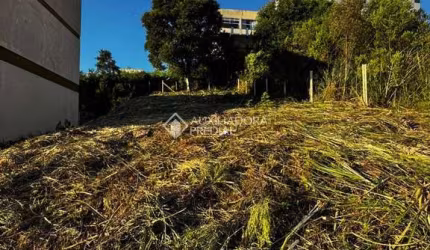 Terreno comercial à venda na Rua Honeyde Bertussi, 999, Nossa Senhora da Saúde, Caxias do Sul, 360 m2 por R$ 330.000