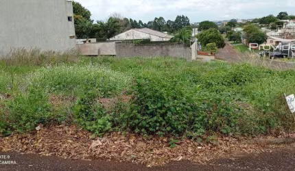 Terreno à venda, 448 m² por R$ 600.000,00 - Pacaembu - Cascavel/PR