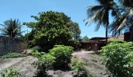 Terreno à venda, 400 m² por R$ 100.000,00 - Barra de Gramame - João Pessoa/PB