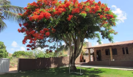 Casa com 3 dormitórios à venda, 460 m² por R$ 890.000,00 - Praia de Carapibus - Conde/PB