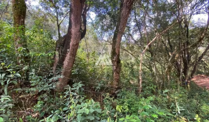 Vendo chácara em Itatiaiuçu de 4.000m² excelente localização.
