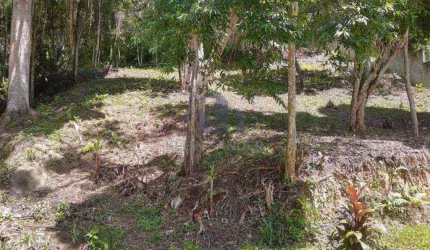 Terreno à venda, 816 m² por R$ 280.000,00 - Cônego - Nova Friburgo/RJ