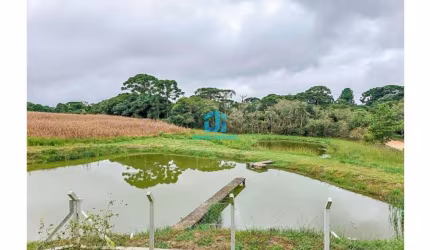 Chácara / sítio com 2 quartos à venda na Rua Vila Nova, 2100, Cachoeira, São José dos Pinhais por R$ 1.500.000