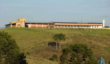 Sítio/Haras com 52,00 área e 3.000m² área construída, Barracões, 6 casas de funcionários, 29 cocheiras, em Tijucas do Sul - PR