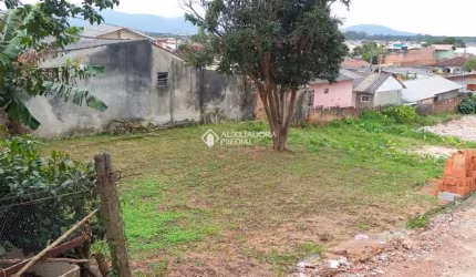 Terreno à venda na Servidão Peralta, 3196, Tapera, Florianópolis, 363 m2 por R$ 350.000