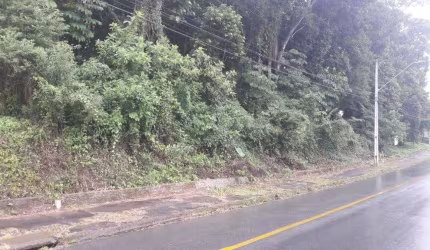 TERRENO no BOM RETIRO com 0 quartos para VENDA, 744 m²