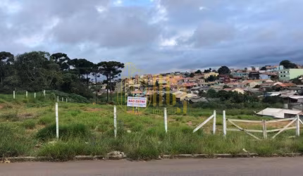 Terreno no Iguaçu  -  Fazenda Rio Grande