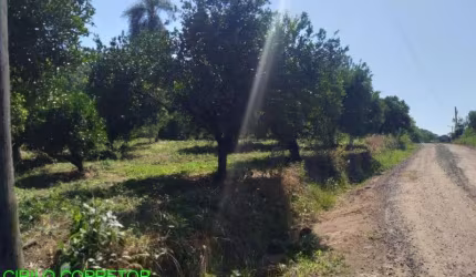Chácara / sítio à venda na Estrada S. Jose do Maratá, s/n, Centro, São José do Sul por R$ 220.000