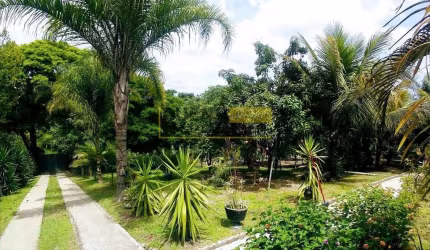 Linda chácara com 3 dormitórios à venda, 1450 m² por R$ 700.000 - Chácaras Cruzeiro do Sul - Santa