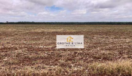 Fazenda com de 5.050 hectares à venda, 50500000 m² por R$ 10 - Centro - Porto dos Gaúchos/MT