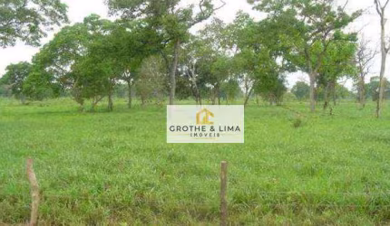 Excelente fazenda de cria no Pantanal à venda em Corumba-MS.