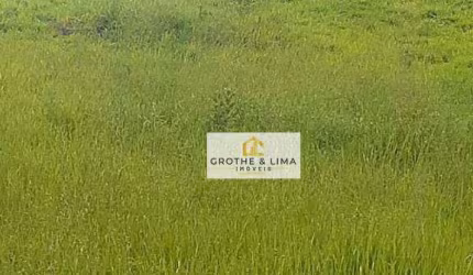 Área, 8764 m² - venda por R$ 5.696.600,00 ou aluguel por R$ 30.000,00/mês - Putim - São José dos Campos/SP