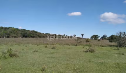 Terreno à venda na Estrada Do Cemitério, 900, Águas Claras, Viamão, 69756 m2 por R$ 1.116.100