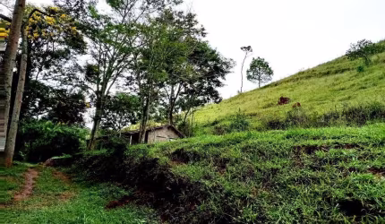 Sítio para Venda em São Luiz do Paraitinga, Centro, 3 dormitórios, 3 banheiros, 10 vagas