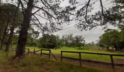 Sítio para Venda - 120217m², 0 dormitórios, Campo Novo