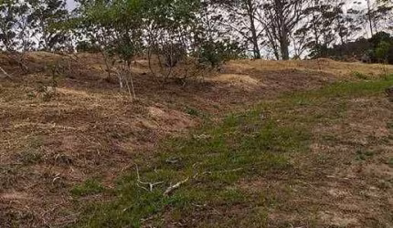 Terreno à venda, 27000 m² por R$ 3.021.000,00 - Quarta Divisão - Ribeirão Pires/SP