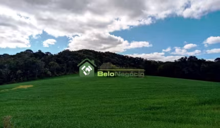 AREA INDUSTRIAL - LAGOA SUJA - ARAUCÁRIA