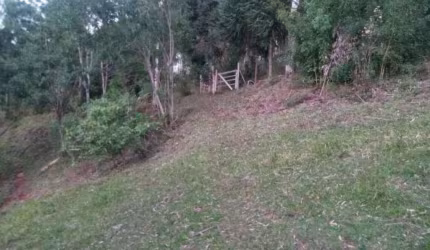 Chácara para venda,  São Vitor, Caxias Do Sul - CH101295