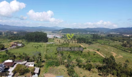 Terreno à venda, 21633 m² por R$ 2.500.000 - Figueira - Gaspar/SC | La Vita Imóveis
