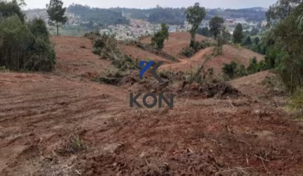 Terreno a Venda em Campo Largo PR