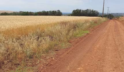 Sitio a Venda   área  de 4 Alqueires  Gleba Primavera Ibiporã PR