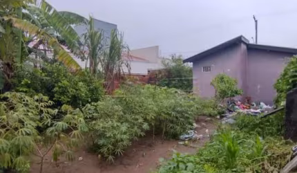 Casa Padrão em São Carlos