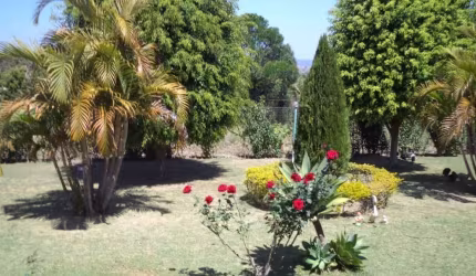 Chácara  a venda Bairro Paineira Pilar do Sul SP