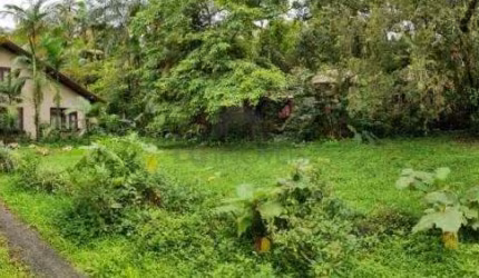 TERRENO no BOM RETIRO com 0 quartos para VENDA, 4198 m²