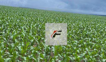 Fazenda à venda, 3218600 m² por R$ 24.800.000,00 - Zona Rural - Guarapuava/PR
