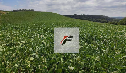 Área à venda, 117000 m² por R$ 530.000,00 - Água Amarela - Antônio Olinto/PR