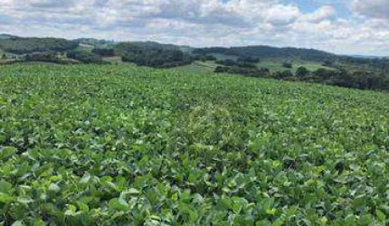 Terreno chácara à venda, 193600 m² por R$ 1.300.000 - Água Amarela - Antônio Olinto/PR
