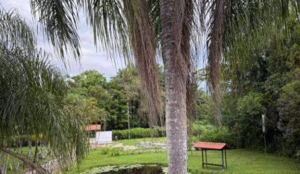 Chácara / sítio com 4 quartos à venda na ENDEREÇO NÃO INFORMADO, Barreiros, Morretes, 400 m2 por R$ 1.800.000