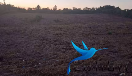 Terreno para Moradia ou lazer em Agudos do Sul