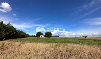 Chácara com excelente localização à venda, SAO LUIZ DO OESTE, TOLEDO - PR